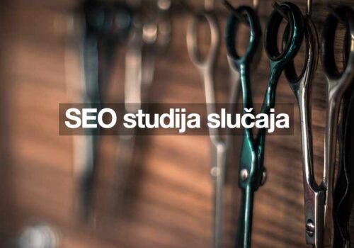 SEO studija slučaja