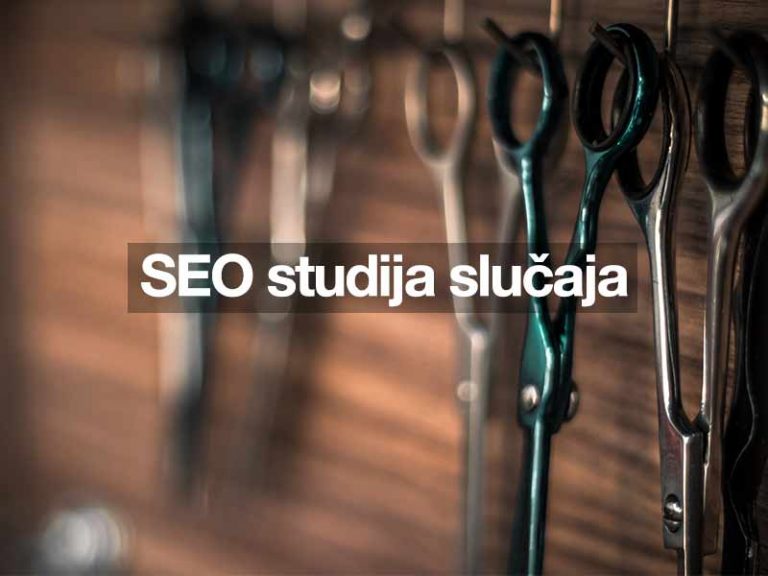 SEO studija slučaja